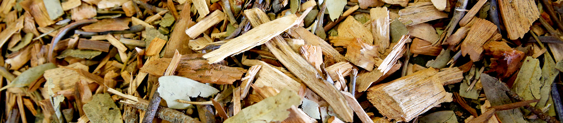 photo of biomass wood chips