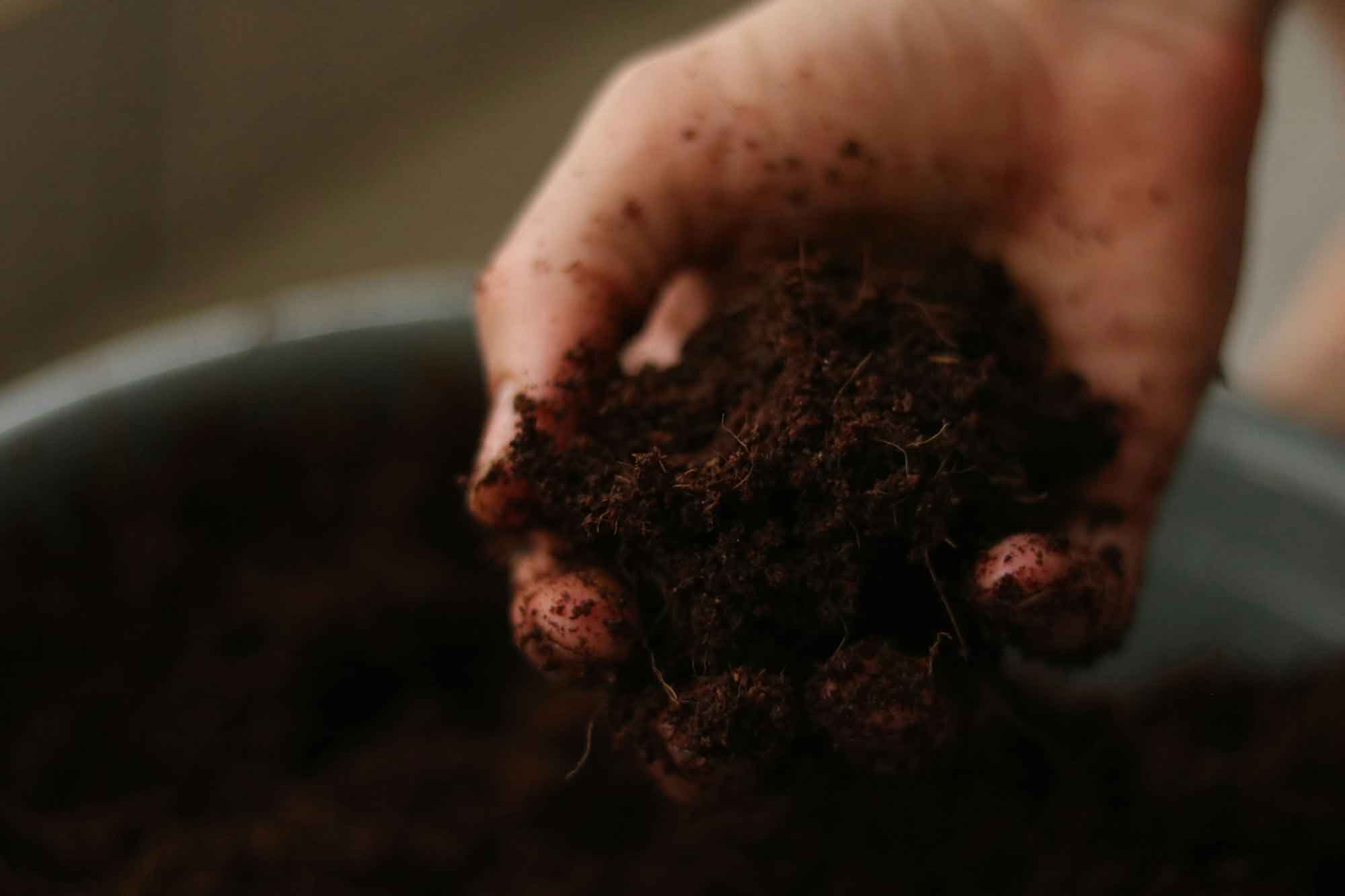 Image of Soil