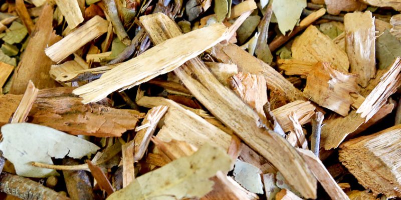 photo of biomass wood chips